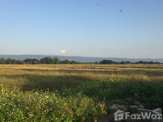 For sale land in Phan, Chiang Rai