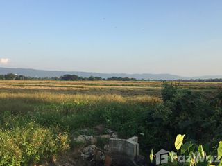 For sale land in Phan, Chiang Rai