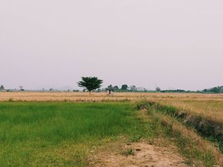 ขาย ที่ดิน ใน เดิมบางนางบวช, สุพรรณบุรี