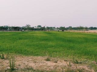 ขาย ที่ดิน ใน เดิมบางนางบวช, สุพรรณบุรี
