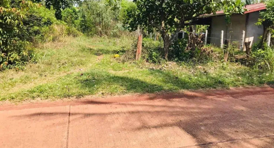 For sale land in Phon Sawan, Nakhon Phanom