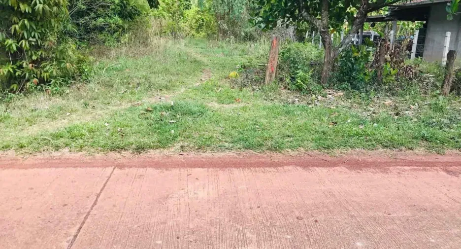 For sale land in Phon Sawan, Nakhon Phanom