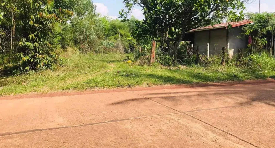 For sale land in Phon Sawan, Nakhon Phanom