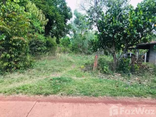 For sale land in Phon Sawan, Nakhon Phanom