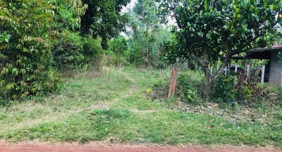 For sale land in Phon Sawan, Nakhon Phanom
