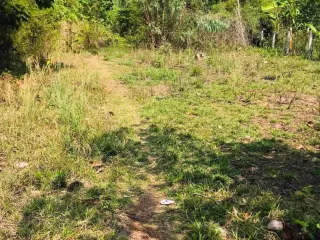 For sale land in Phon Sawan, Nakhon Phanom