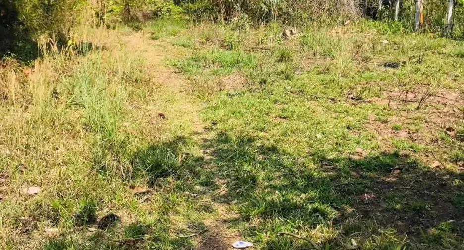For sale land in Phon Sawan, Nakhon Phanom