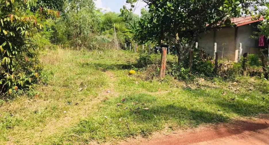 For sale land in Phon Sawan, Nakhon Phanom