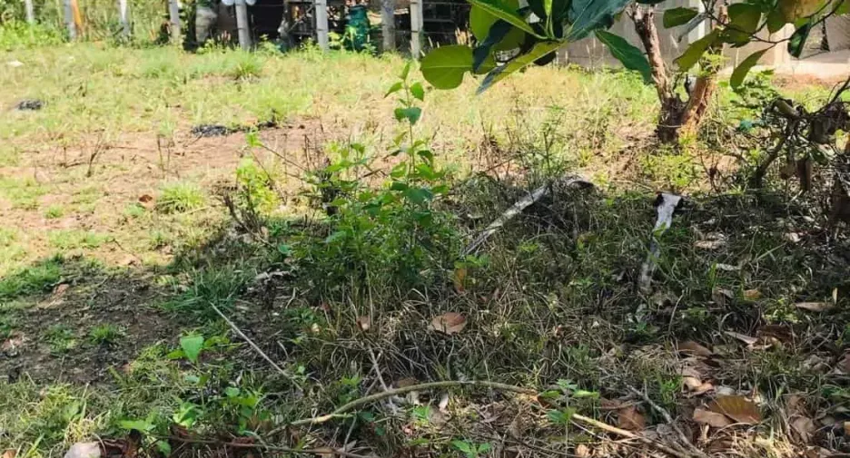 For sale land in Phon Sawan, Nakhon Phanom