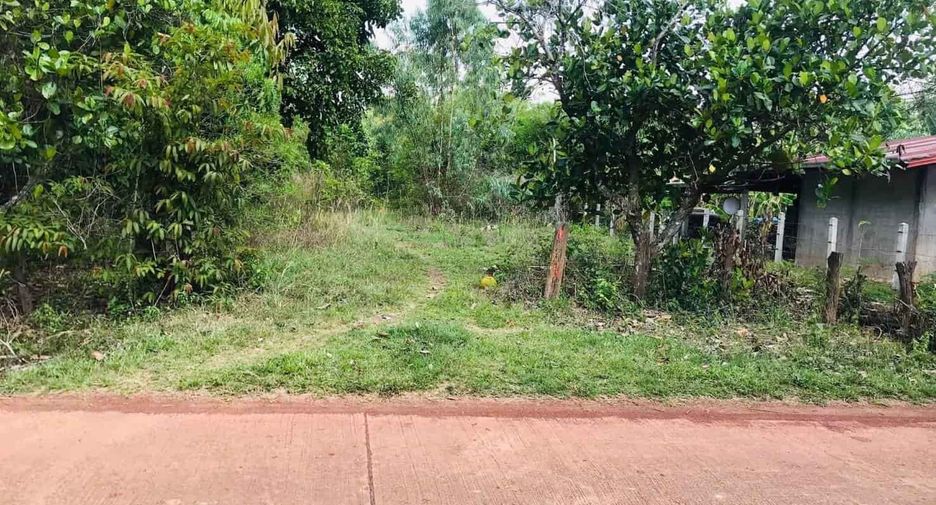 For sale land in Phon Sawan, Nakhon Phanom