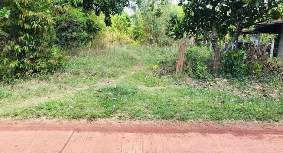 For sale land in Phon Sawan, Nakhon Phanom