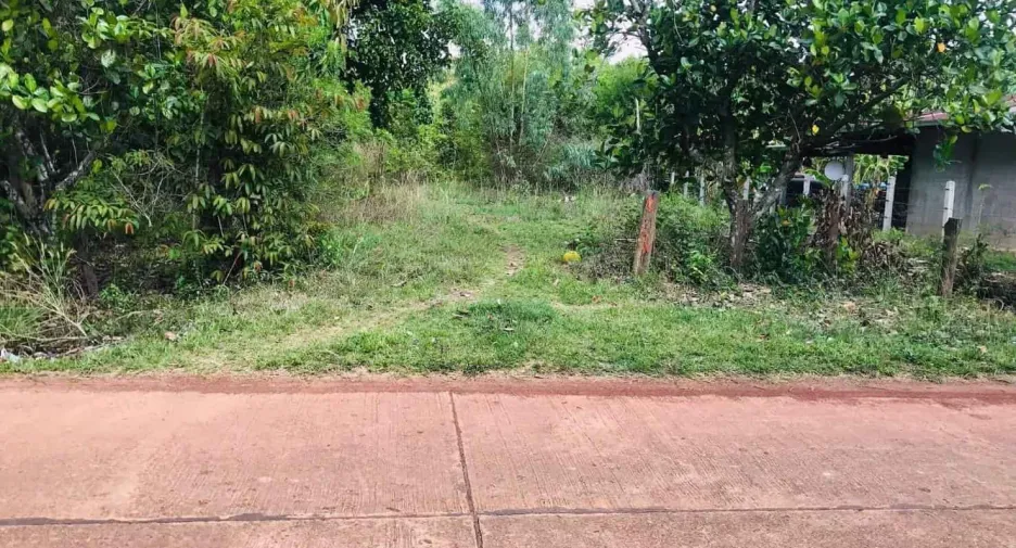 For sale land in Phon Sawan, Nakhon Phanom