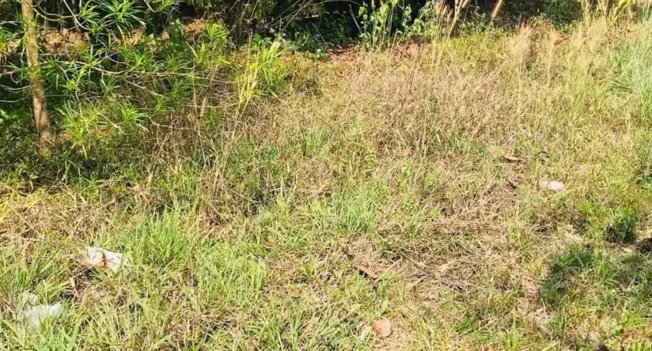 For sale land in Phon Sawan, Nakhon Phanom