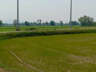 For sale land in Photharam, Ratchaburi