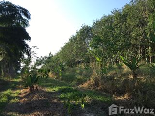 For sale land in Mueang Chumphon, Chumphon