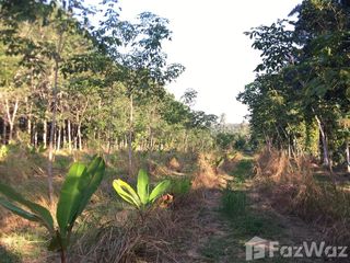 For sale land in Mueang Chumphon, Chumphon