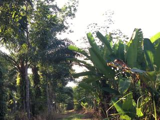 For sale land in Mueang Chumphon, Chumphon