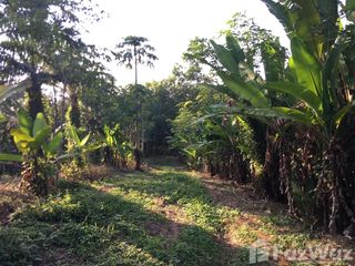 For sale land in Mueang Chumphon, Chumphon