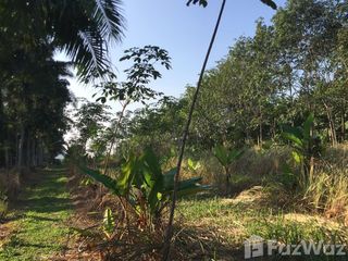 For sale land in Mueang Chumphon, Chumphon