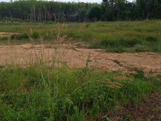 For sale land in Thung Tako, Chumphon