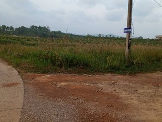 For sale land in Thung Tako, Chumphon