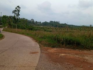 For sale land in Thung Tako, Chumphon