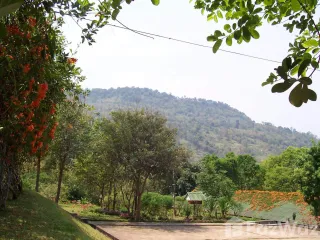 For sale land in Phu Ruea, Loei