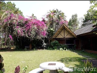 For sale land in Phu Ruea, Loei