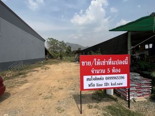 For sale land in Dan Chang, Suphan Buri