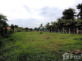 For sale land in San Sai, Chiang Mai