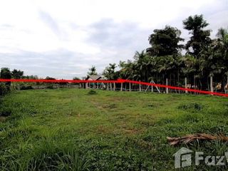 For sale land in San Sai, Chiang Mai