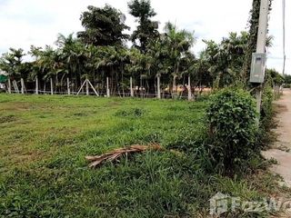 For sale land in San Sai, Chiang Mai