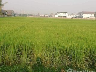 For sale land in Hang Dong, Chiang Mai