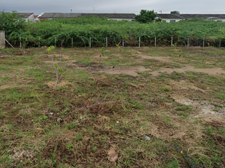 For sale land in Cha Am, Phetchaburi
