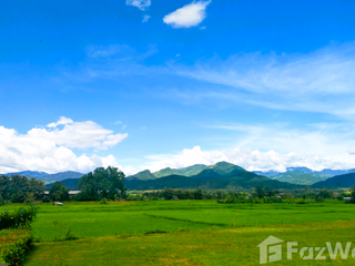 For sale land in Pua, Nan