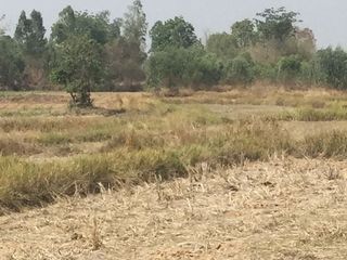 For sale land in Nam Phong, Khon Kaen