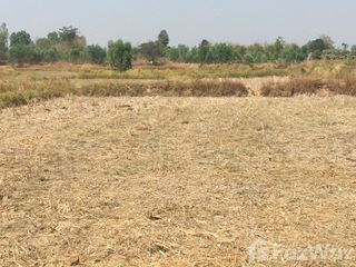 For sale land in Nam Phong, Khon Kaen