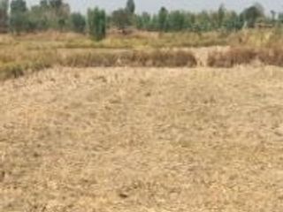 For sale land in Nam Phong, Khon Kaen