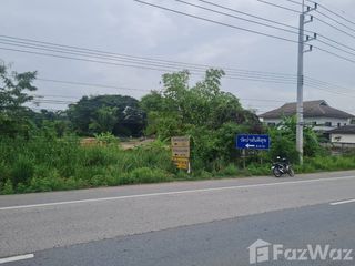 For sale land in Doi Lo, Chiang Mai