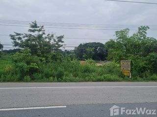 For sale land in Doi Lo, Chiang Mai