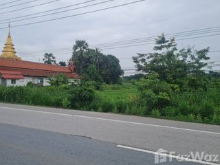 For sale land in Doi Lo, Chiang Mai