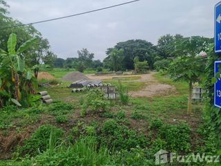 For sale land in Doi Lo, Chiang Mai