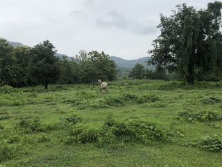 For sale land in Mae On, Chiang Mai