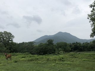 For sale land in Mae On, Chiang Mai