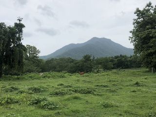 For sale land in Mae On, Chiang Mai