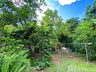 For sale land in Mae Lao, Chiang Rai