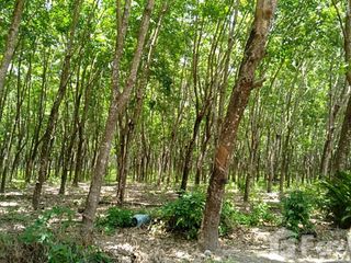 For sale land in Mueang Mukdahan, Mukdahan