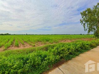 For sale land in Mueang Kamphaeng Phet, Kamphaeng Phet