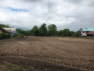 ขาย ที่ดิน ใน สันทราย, เชียงใหม่