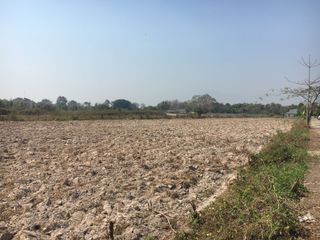 ขาย ที่ดิน ใน สันทราย, เชียงใหม่